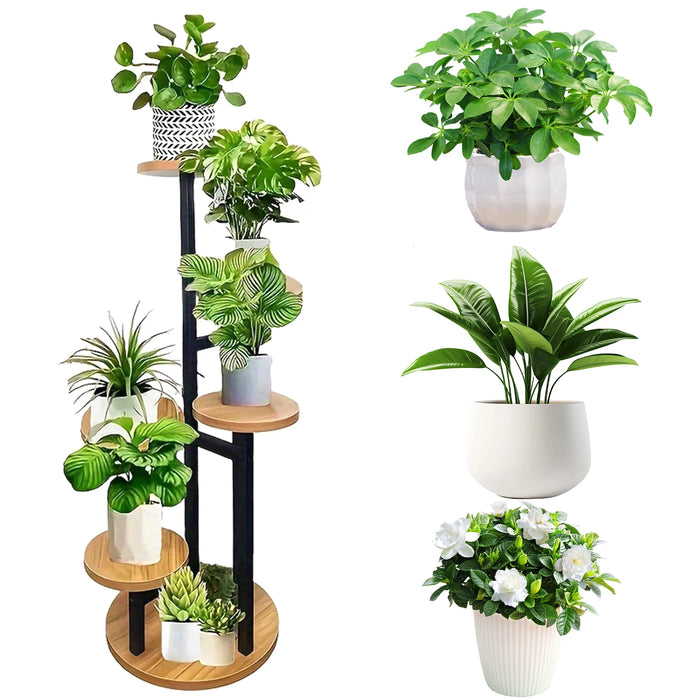 6-Tier Corner Plant Stand – Wood & Metal Display Shelf (Black)