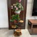 6-Tier Corner Plant Stand – Wood & Metal Display Shelf (Black)