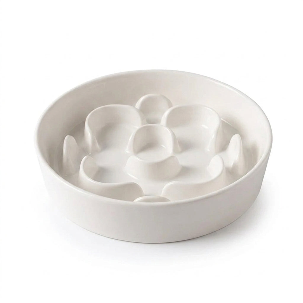 Elevated Ceramic Slow Feeder Bowl — Anti‑Choking Maze with Iron Stand