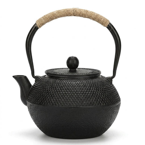 Cast Iron Teapot with Stainless Steel Mesh Filter — Induction Ready