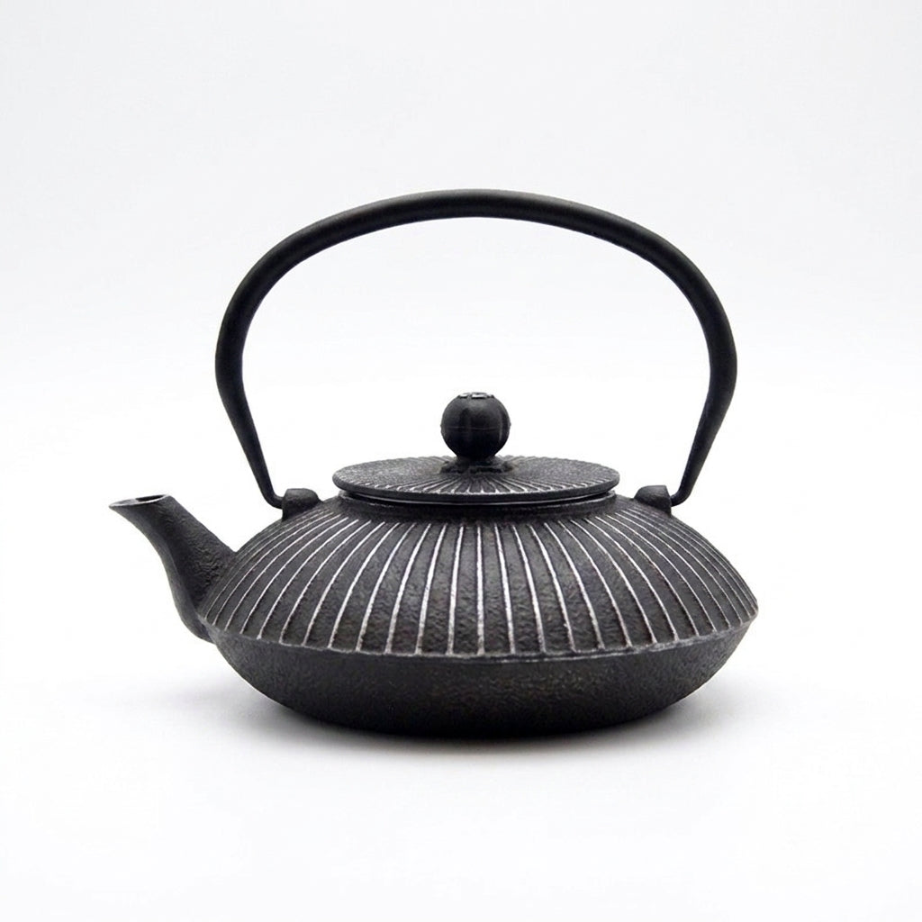 800ml Cast Iron Teapot – Japanese-style Kettle for Boiling Water and Tea