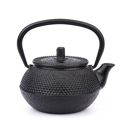 Cast Iron Teapot — Japanese-style Kettle 300/600/900/1200ml with 304 Steel Infuser