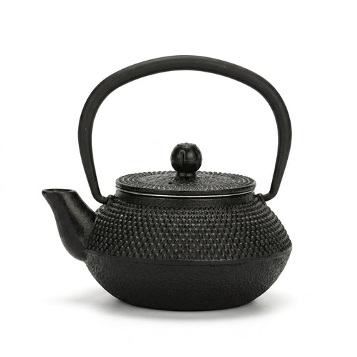 Japanese‑style Cast Iron Teapot with Stainless Steel Infuser — 300ml